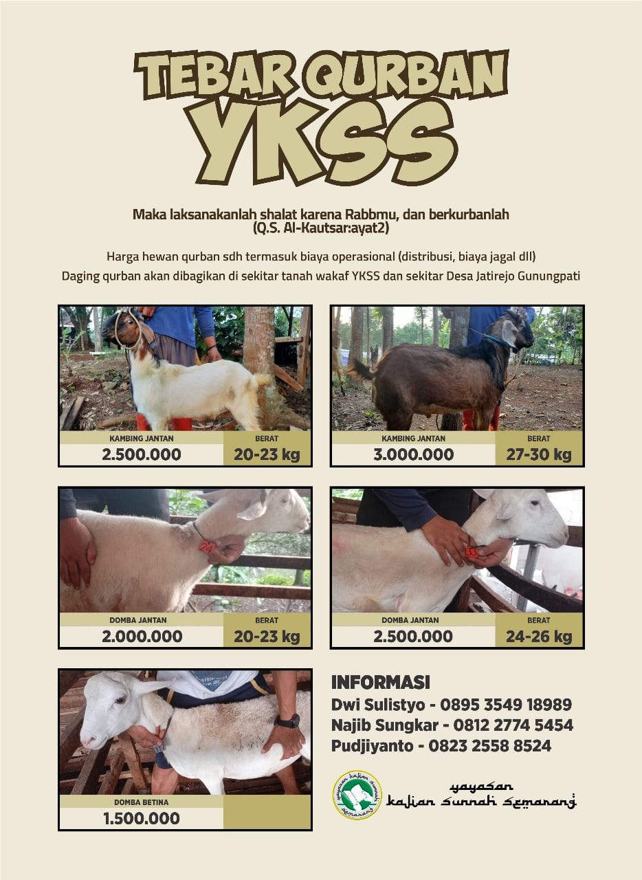 Tebar Qurban Yayasan Kajian Sunnah Semarang (YKSS) 1444H